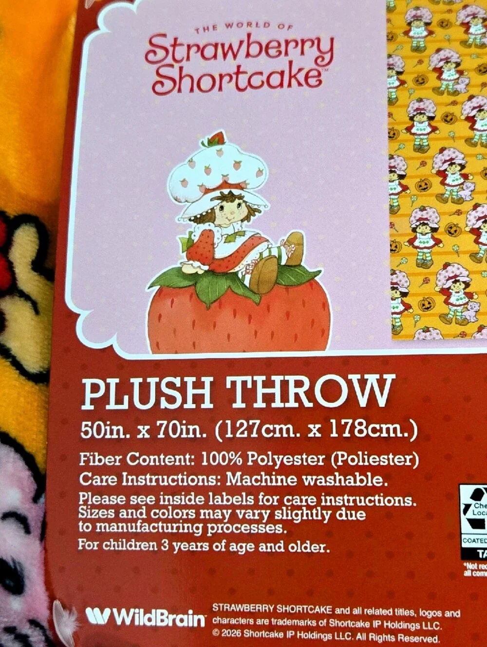 Strawberry Shortcake and Custard Halloween Plush Pumpkin Throw Blanket